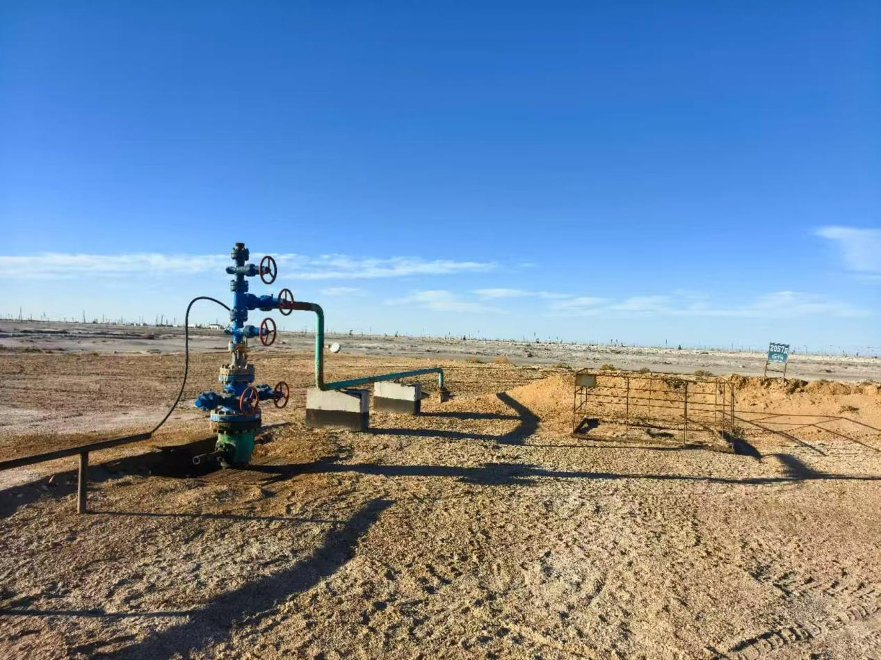 深海脐带缆系统